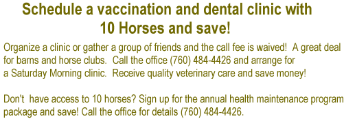 Schedule a vaccine and dental click with 10 horses and save, Ramona, Julian, Poway